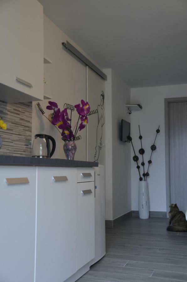 Apartments Lilly - Studio Rijeka Bagian luar foto