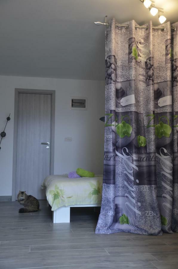 Apartments Lilly - Studio Rijeka Bagian luar foto